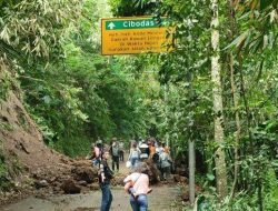 Sempat Alami Longsor Desa Cibodas Sudah Kembali Normal