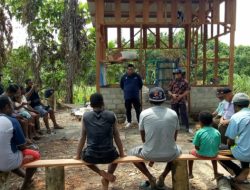 Unhas-Unipa Latih Pengolahan Sagu Warga Distrik Masni-Papua Barat