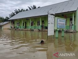 Disdikbud: 41 Sekolah di Aceh Timur Terendam Banjir