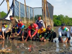 TNI-Polri Tanam 2.000 Bibit Mangrove di Tahura Ngurai Rai