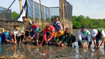 TNI-Polri Tanam 2.000 Bibit Mangrove di Tahura Ngurai Rai