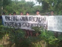 Petani Porang Menjerit, Minta Kebijakan Hulu-Hilir Dikawal Firli Bahuri