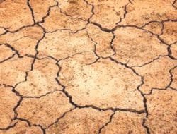 Daftar 10 Kecamatan di DKI yang Berpotensi Terjadi Pergerakan Tanah