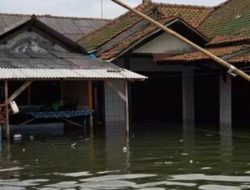 Banjir Rob Menerjang Desa di Subang-Jabar, 943 Permukiman Tergenang