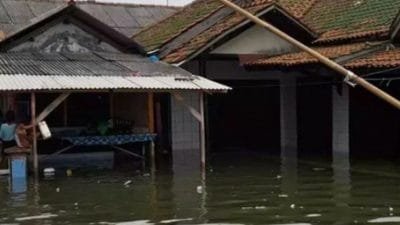 Banjir Rob Menerjang Desa di Subang-Jabar, 943 Permukiman Tergenang