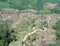 KPH Mukomuko-Bengkulu Minta Perambah Hutan Bentuk Koperasi