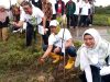 Penghijauan Kawasan Pesisir SPMT Tanam 1.000 Pohon Mangrove di Belawan
