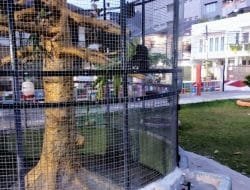 Potret Pemanfaatan Lahan Tidur Untuk RTH di Jakarta