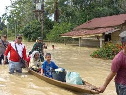 Aceh Timur Dilanda Banjir, 500 Lebih Warga Mengungsi