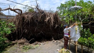 Gelombang Tinggi di Bali, BMKG: Warga-Wisatawan Harus Waspada