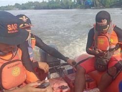 ABK KM Merpati Jatuh di Sungai Kumbe-Merauke, SAR Lakukan Pencarian