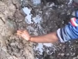 Viral, Ridwan Kamil Umumkan Ada Mata Air di Samping Makam Eril