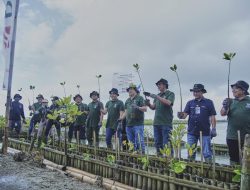 2.000 Bibit Mangrove Ditanam BNI di Teluk Benoa-Bali