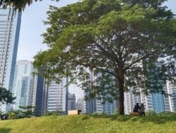 Seluruh Kota dan Kabupaten di DKI Raih Adipura