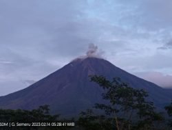 Gunung Semeru Erupsi Dengan Tinggi Letusan 800 meter