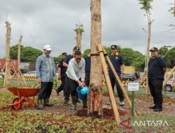 Heru Bangun 235 Taman Dalam Tiga Bulan