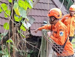 BPBD DKI: Sembilan RT di Jakarta Selatan Tergenang Banjir