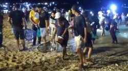Warga tumpah ruah menangkap nyale atau cacing laut di Pantai Senggigi, Lombok Barat, NTB, Sabtu (11/3/2023) malam