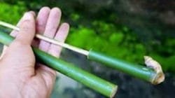 Mainan tradisional pletokan