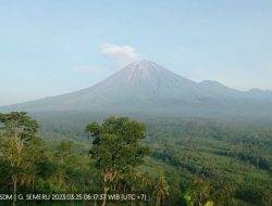 Gunung Semeru Alami 21 Kali Gempa Letusan