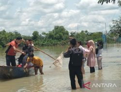1.000 Hektare Lebih Sawah di Sragen-Jateng Terendam Banjir