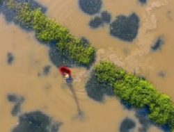 Banjir Landa China, Ribuan Warga Dievakuasi