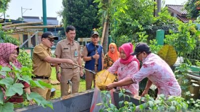 Kecamatan Kembangan Sukses Budidaya Lele Untuk Dukung Ekonomi Warga