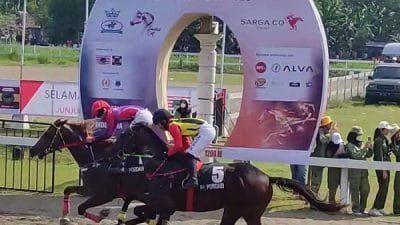 Pordasi Sukses Gelar Kejuaraan Pacu Kuda Piala Tiga Mahkota Seri II di Bantul