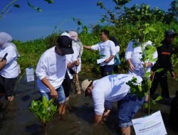 Pelindo Jasa Maritim Tanam 1.000 Pohon Mangrove di Pantai Pokko-Sulsel