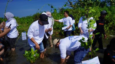 Pelindo Jasa Maritim Tanam 1.000 Pohon Mangrove di Pantai Pokko-Sulsel