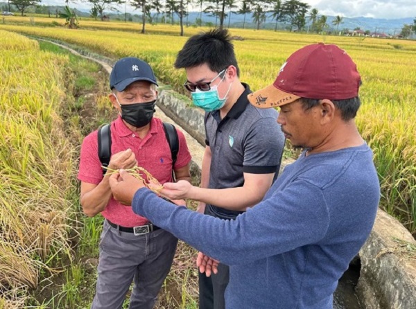 Taiwan Technical Mission (TTM) membina petani di Kabupaten Sopeng, Sulawesi Selatan.