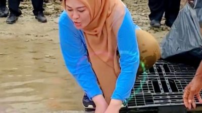 Bupati Irna Lepas Empat Induk Penyu di Pantai Tanjung Lesung