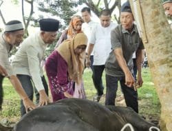 Idul Adha 1444 H, Pemerintah Kabupaten Asahan Sembelih 125 Hewan Kurban