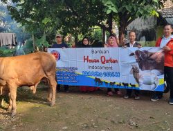 Indocement Salurkan Bantuan Ratusan Hewan Kurban di Bogor-Cirebon-Kalsel