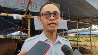 Sudin KPKP Lakukan Pengawasan 116 Tempat Hewan Kurban