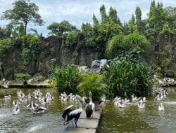 Sekitar 5.000 Orang Kunjungi Margasatwa Ragunan