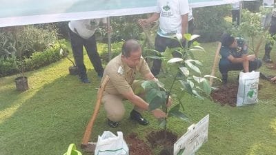 Wali Kota Jakut Minta Sektor Usaha Dukung Program Penghijauan