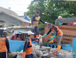 Sampah di Bojonggede Menumpuk 2 Meter, DLH Bogor Mulai Pengangkutan