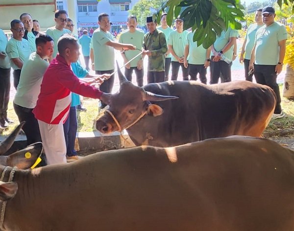 Jelang Idul Adha Wakil Jaksa Agung Serahkan Ekor Sapi Di Ntt