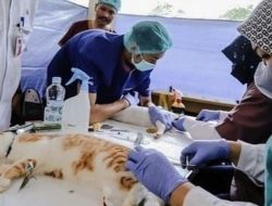KPKP Jakarta Utara Targetkan 5.500 Hewan Dapat Vaksinasi Rabies