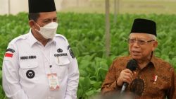 Wapres KH. Ma'ruf Amin bersama Gubernur Kepri H. Ansar Ahmad saat meninjau areal pertanian hidroponik modern Batamindo Green Farm di Southlink Tiban, Kota Batam, Rabu (7/6/2023). (Foto:Dok.Diskominfo Kepri)