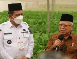 Wapres dan Gubernur Kepri Tinjau Pusat Pertanian Modern di Batam
