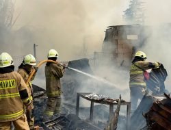Kebakaran Rumah di Cakung Hanguskan 16 Ekor Kambing