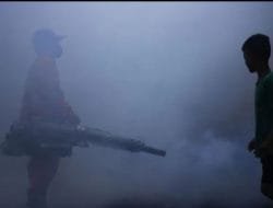 Dinkes DKI Minta Warga Tingkatkan Pemberantasan Sarang Nyamuk