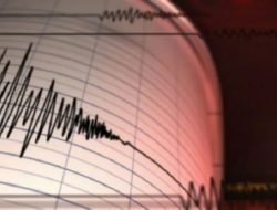 Akibat Aktivitas Sesar, BMKG: Gempa Magnitudo 5,0 Jayapura Jenis Dangkal