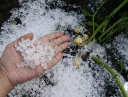 Iklim Kontras, Italia Utara Hujan Es, Tengah-Selatan Dilanda Panas