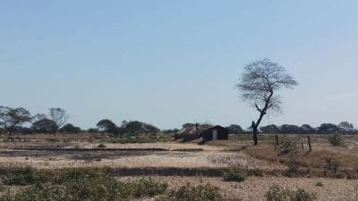 Alami Hari Tanpa Hujan Ekstrem Panjang, 3 Wilayah NTT Harus Waspada