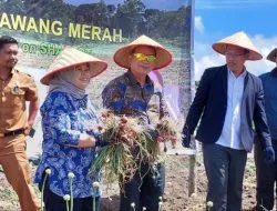 Komitmen TETO Dorong Sumut Jadi Basis Produksi Pangan 