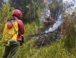 Savana Bromo Terbakar, Tim Gabungan BBTNBTS Padamkan Api