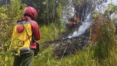 Savana Bromo Terbakar, Tim Gabungan BBTNBTS Padamkan Api